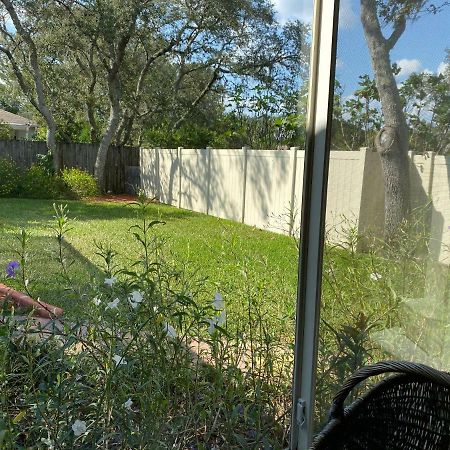 Modern Pool Home Spring Hill Exterior photo